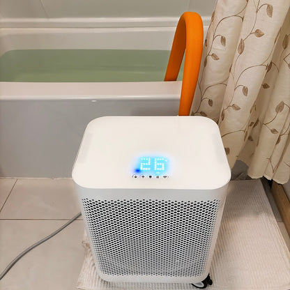 Deeptime Cold Plunge Unicorn